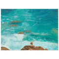 2d2c65f3-bb5c-4f6e-a987-6495c8146b0a